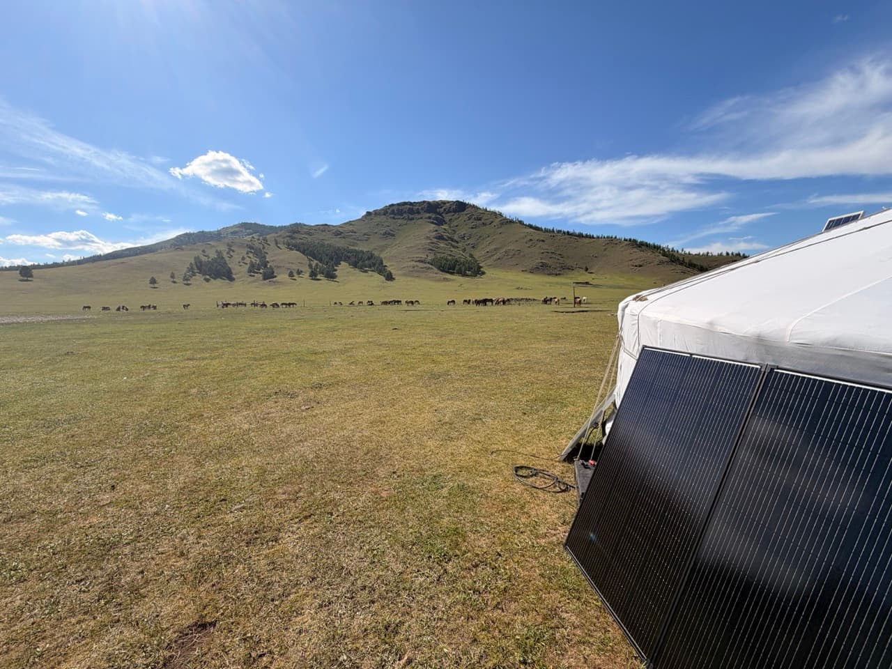 Two solar panels against a white ger, horses on the steppe, a hill behind.